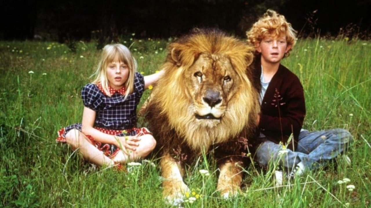 “Aslan Beni Ağzına Alıp Savurdu!” 1 554723